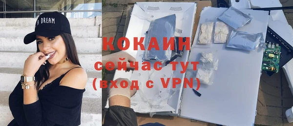 гидра Кострома