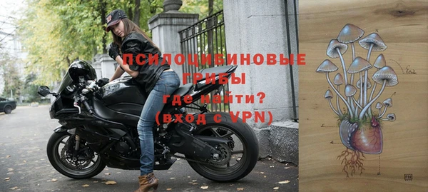 прущий лед Майский
