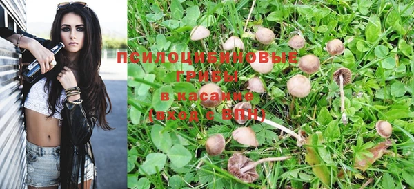 спиды Магадан