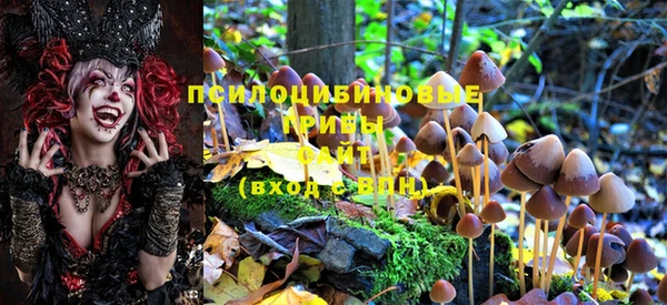 прущий лед Майский